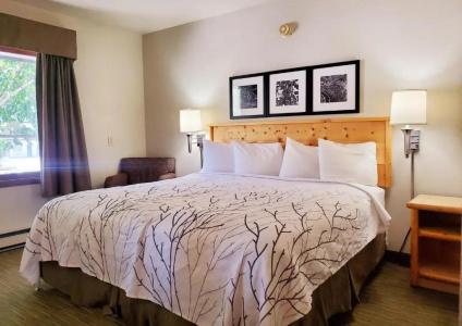 Days Inn and Suites by Wyndham Downtown-University - 18