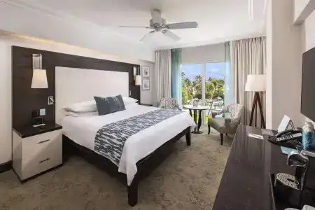 The Palms & Spa - 77