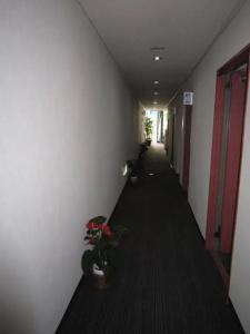 the textile - 13