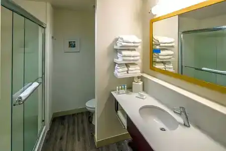 Hampton Inn Houston Downtown - 45