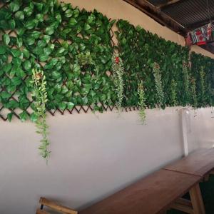 D Luck Hostel - 15