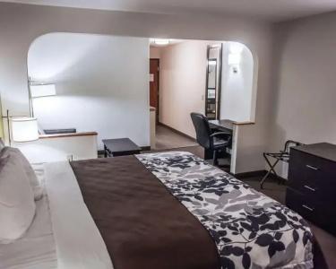 Sleep Inn & Suites West I-70 Wanamaker - 31