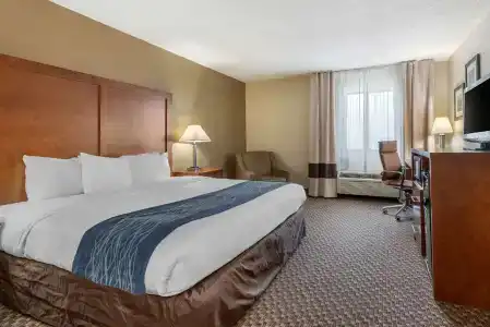 Comfort Inn South - 35