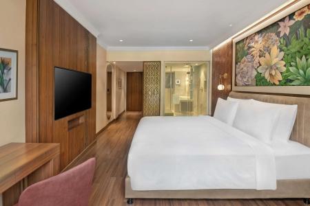 Radisson Blu Grt, Chennai - 6