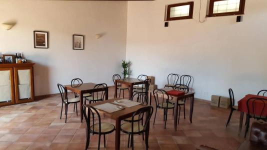 Azienda Agricola Sinisi - 11