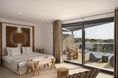 Ikies of Mykonos - 67