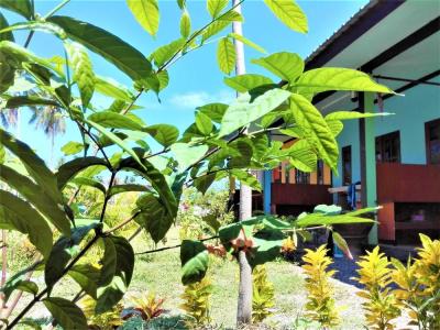 Lanta Hostel - 38