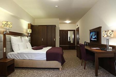 Mercure Krynica Zdrój Resort&Spa - 50