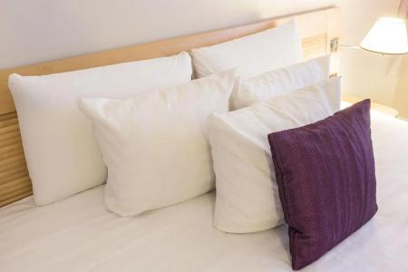 Mercure Tours Centre Gare et Congrès - 24