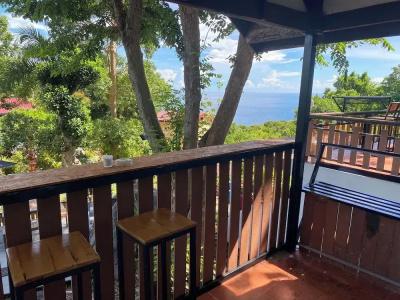 Majestic Sea View Koh Tao - 41