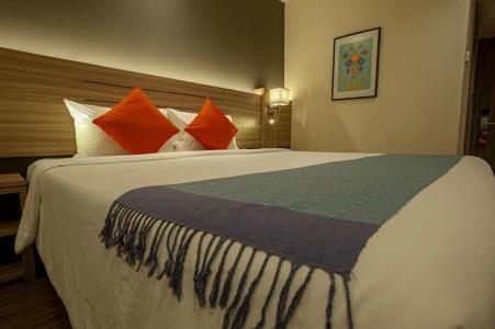 Le cassia - 5
