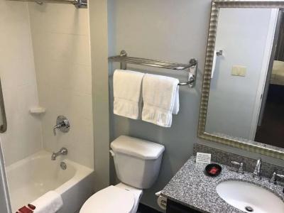 SureStay Studio by Best Western - 100