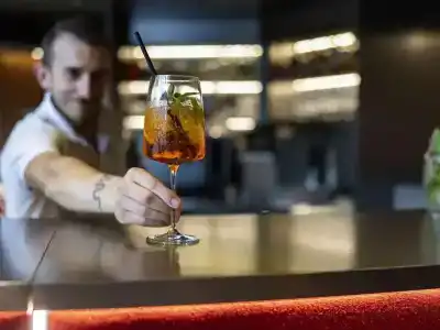 Novotel Zurich City West - 34
