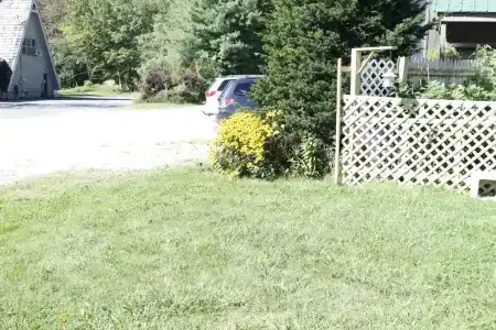 Happy Bear - 2