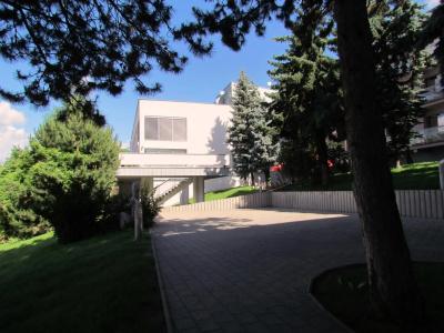 Sorea Regia - 17
