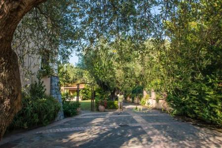 Residence e B&B Villamirella - 271