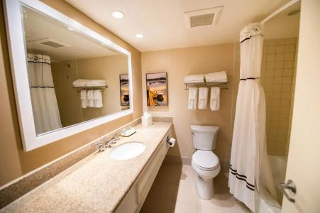 Holiday Inn Regency, An Ihg - 8