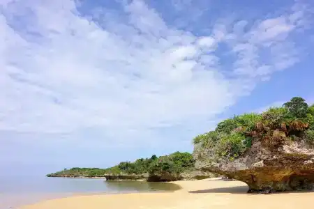 Tsundara Beach Retreat - 10