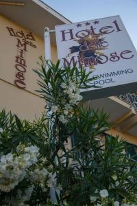 Delle Mimose - 0