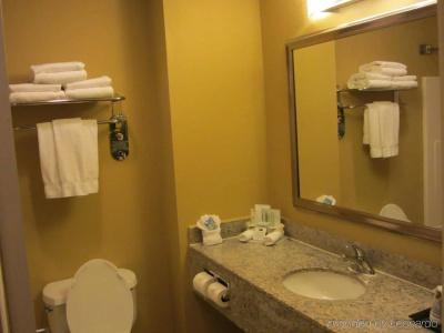 Holiday Inn Express & Suites Houston-Downtown Convention Center, An Ihg - 8