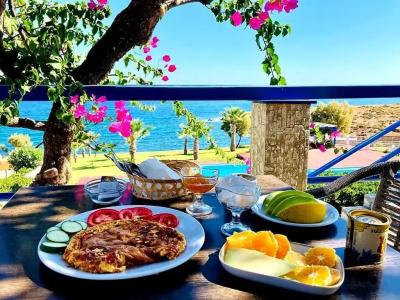 Stella Beach - 23