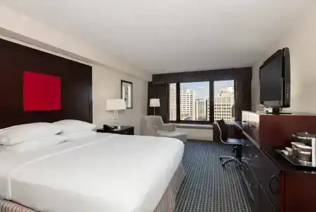 DoubleTree by Hilton Chicago Magnificent Mile - 3