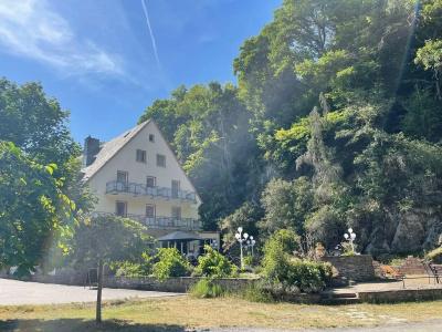 Alte Mühle - 11