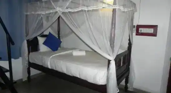 Gruhaya Boutique - 3
