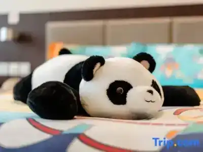 Holiday Inn Express Chengdu Wuhou, An Ihg - 56