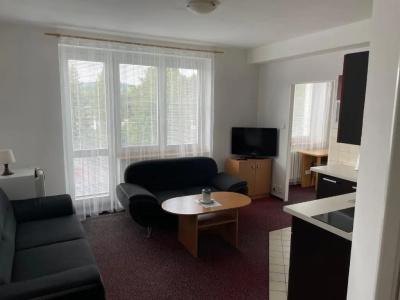 Harrachov Inn - 29