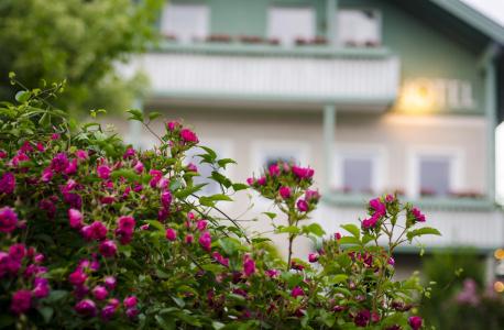 GartenSalzach - 0