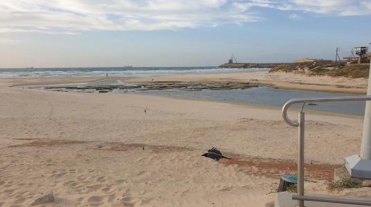 Spat Ashdod - 115