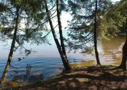 Фиолетовое лето - 18