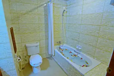 Shwe Ingyinn Mandalay - 55