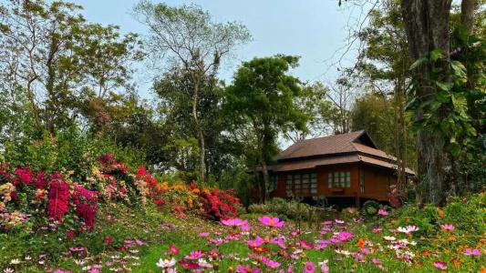 Nan Seasons Boutique Resort - 214
