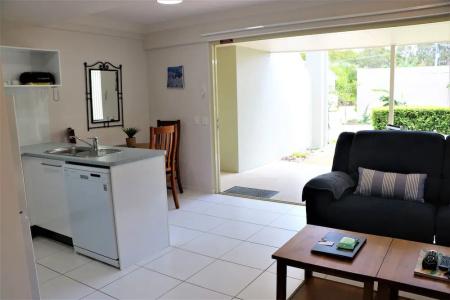 Noosa River Palms - 156