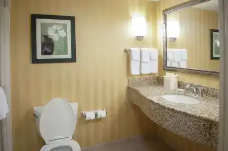 Hilton Garden Inn Airport/Medical Center - 8