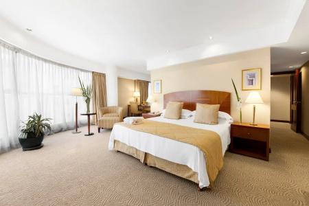 Melia Buenos Aires - 160