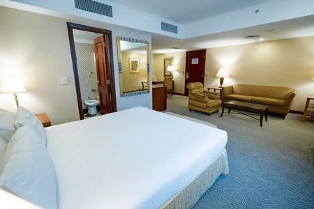 Melia Buenos Aires - 121