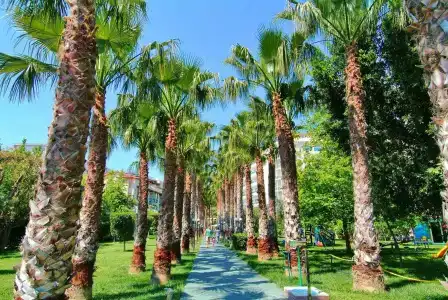 Gardenia Beach - 27