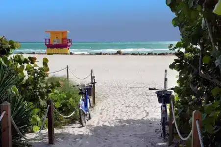 Hilton Garden Inn Miami South Beach - 15