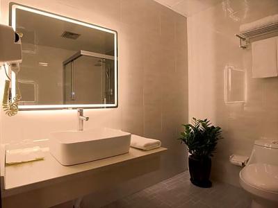 Shanghai Joyful Star(Pudong Airport/Shanghai International Resort/Free Trade Zone) - 43