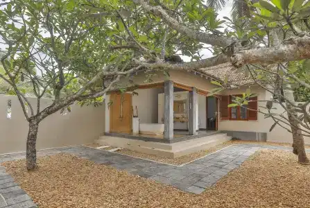 The Frangipani Tree by Edwards Collection - 22