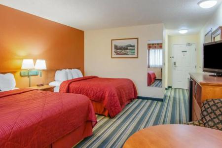 Quality Inn & Suites Airport - 45