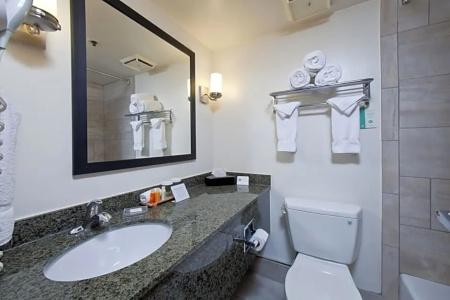 Best Western Plus Thunderbird Suites - 88