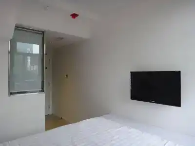 Panda's - Cozy - 1