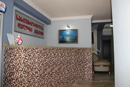 Дельфин - 1