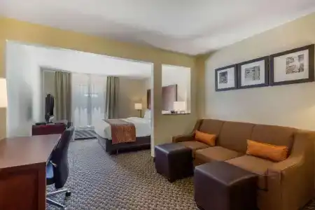 Comfort Inn & Suites SW Houston Sugarland - 33