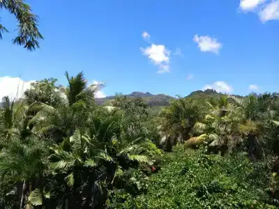 A Peace In Paradise - 26