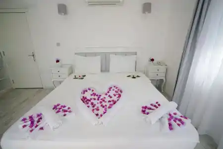 Art Suites - 2